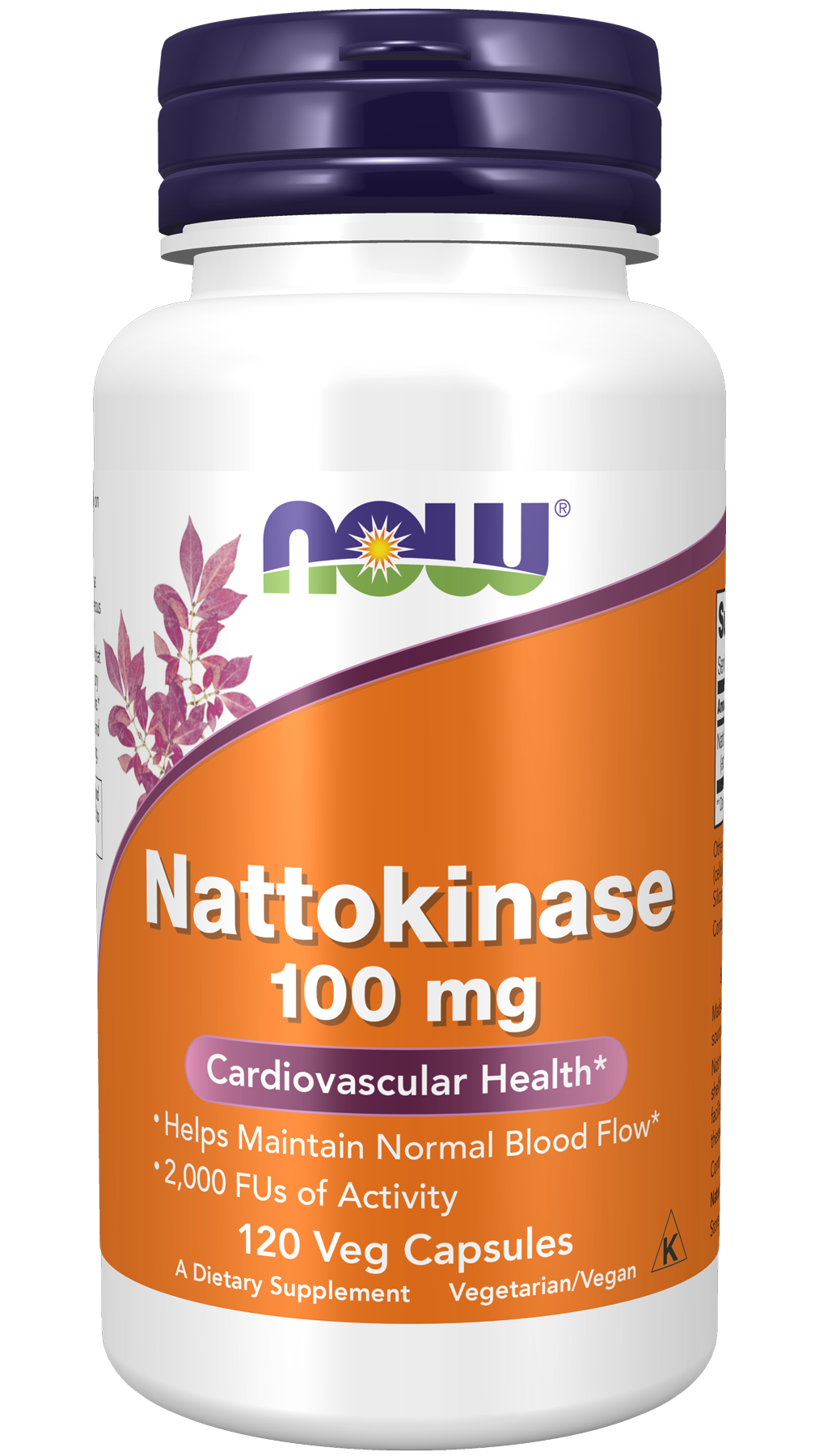 Nattokinase 100 mg