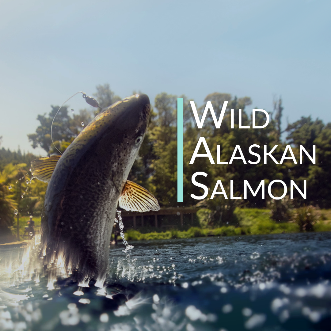 Organic Wild Alaskan Salmon Bone Broth Powder